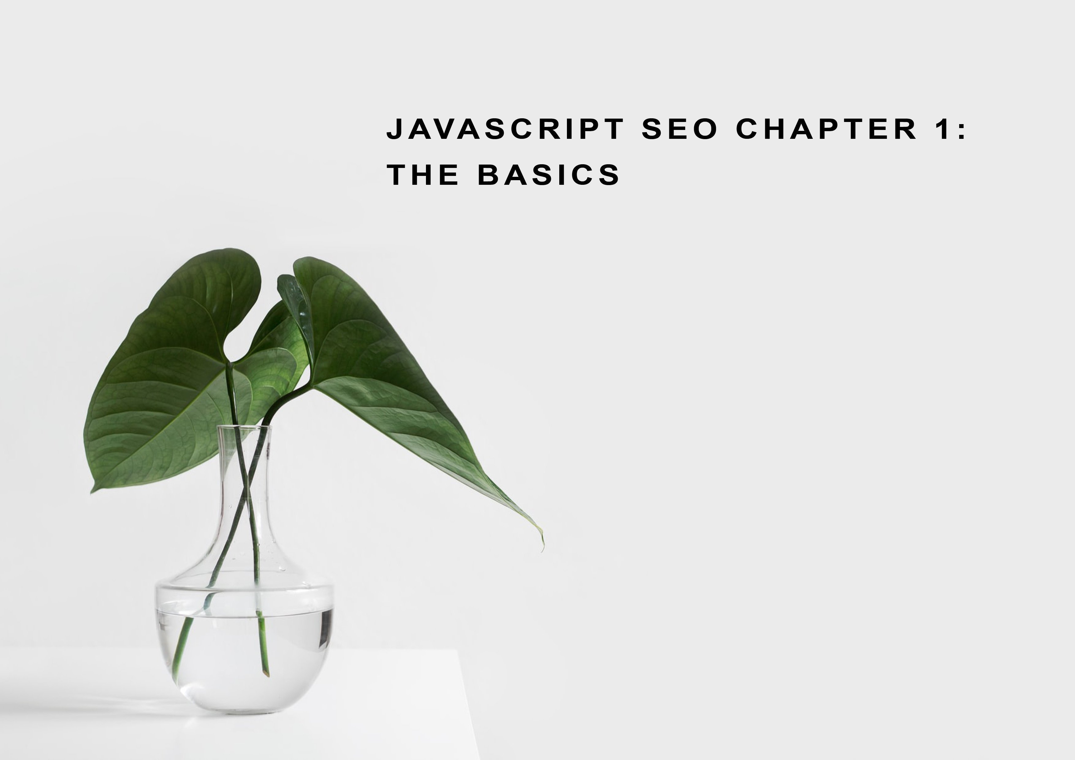 Javascript SEO Part 1: What is Javascript and How it is used? 